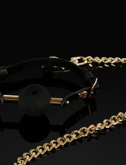 Fashion Fetish Leather Bridle & Ball Gag